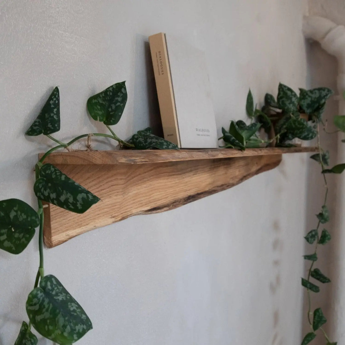 Regalbrett Eiche organisch