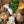 28.09.2024 woodcuisine original - Pilze und Pasta - Image #4