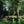 woodcuisine - einen ganzen Tag in der Natur bei Finowfurt